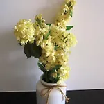 Casa Da Flor 아파트