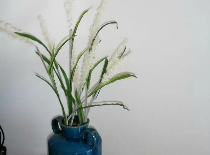 Casa Da Flor Πόντα Ντελγκάντα