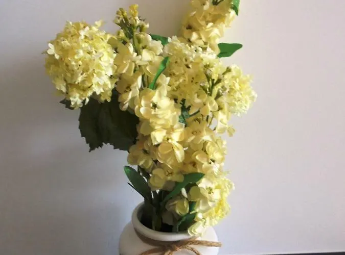 Casa Da Flor Apartman